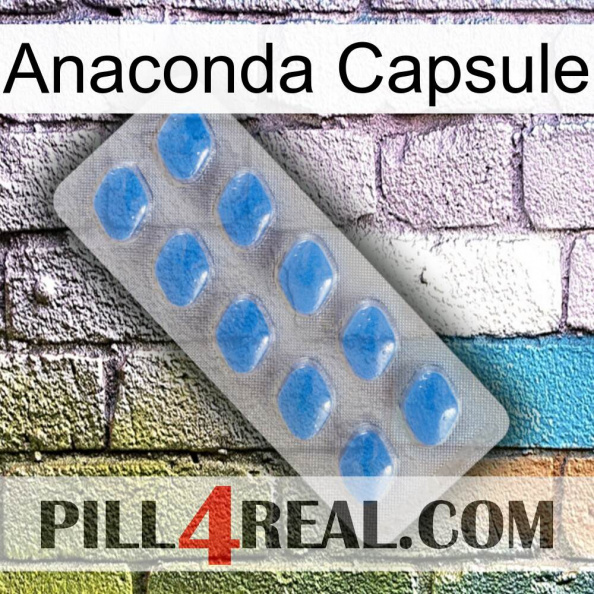 Anaconda Capsule 22.jpg